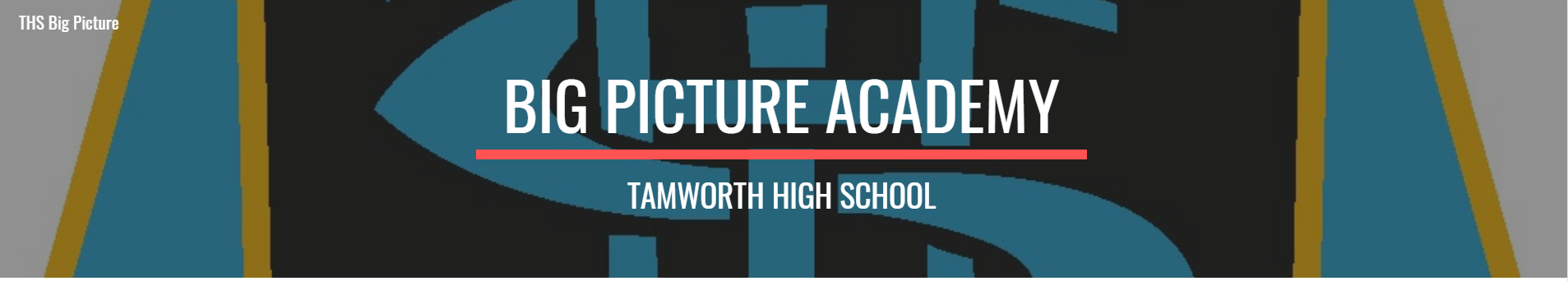 THS Big Picture Academy